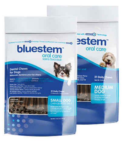 Bluestem - Oral Care Dental Chew w/Coactiv+ 21ct