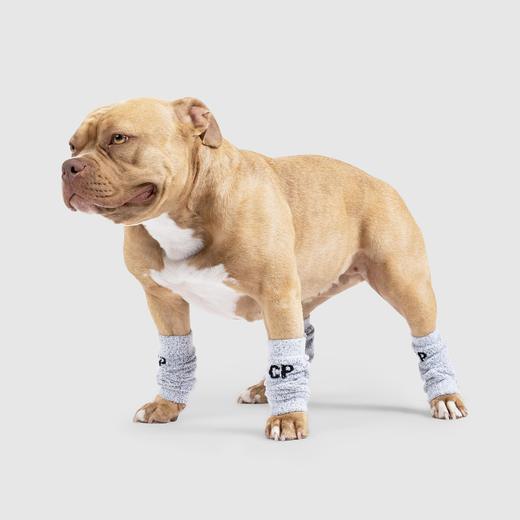 Canada Pooch - Work It Warmers