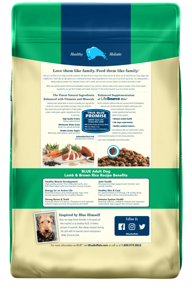 Blue Buffalo Life Protection Natural Lamb & Brown Rice Recipe Adult Dry Dog Food
