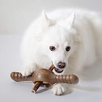 Benebone Pawplexer