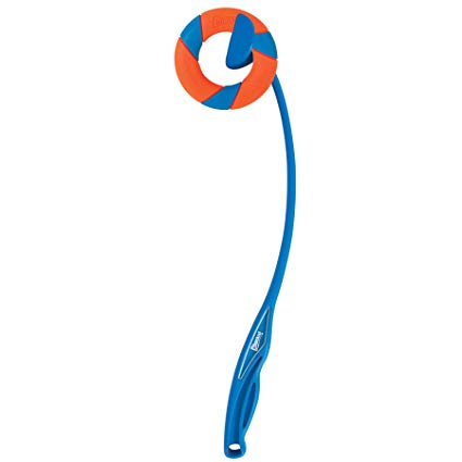 Chuckit - Ring Chaser Dog Toy