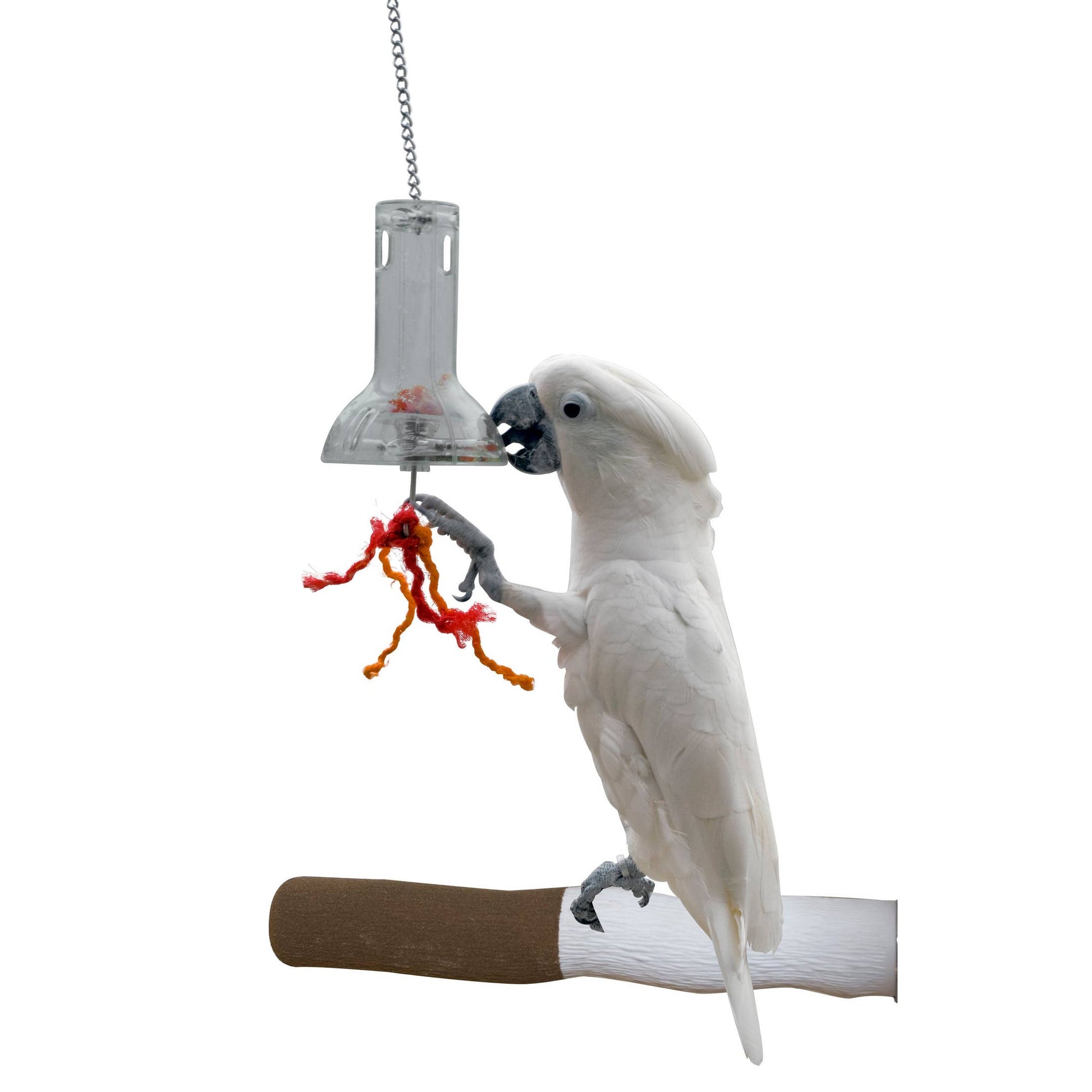Caitec Foraging Capsule
