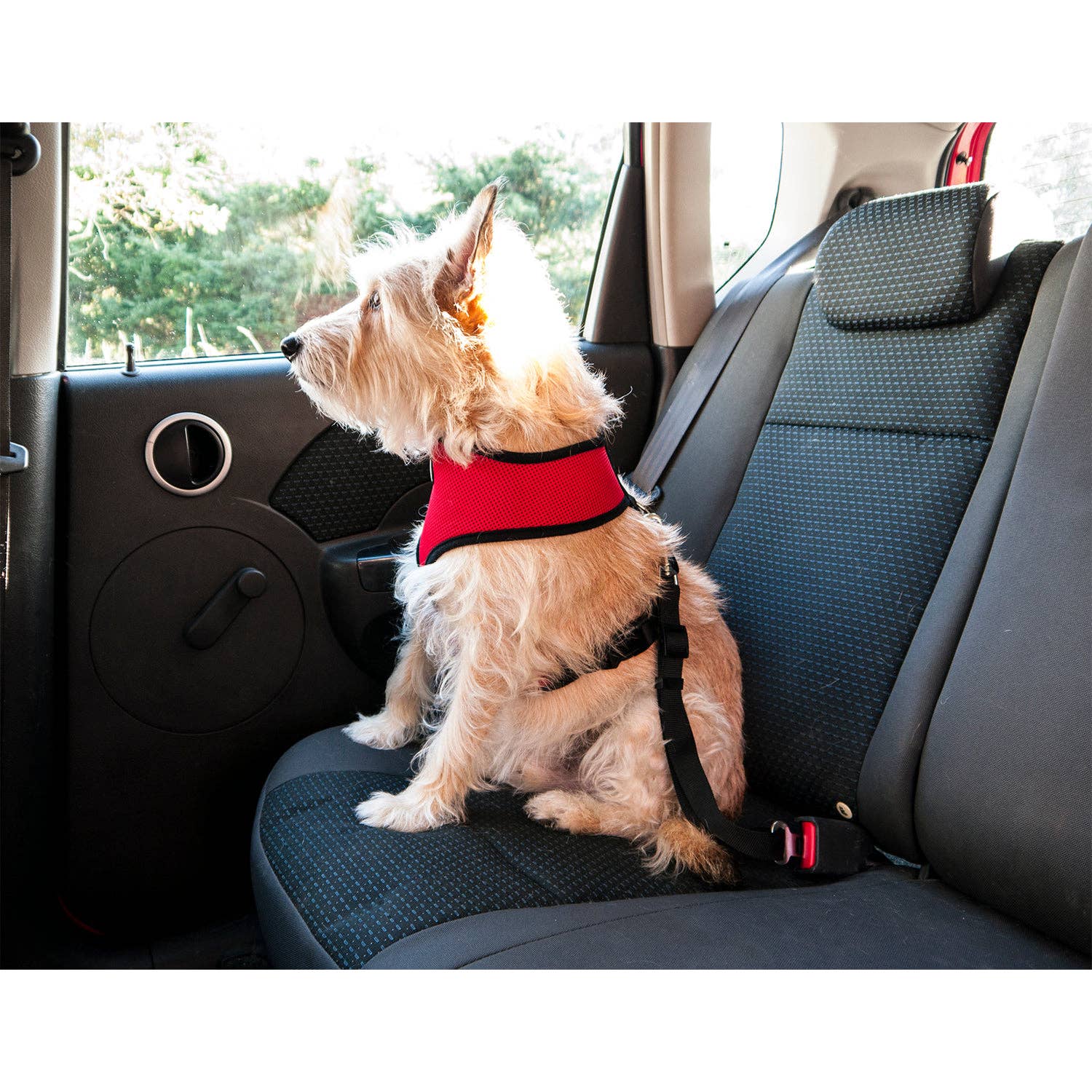Furhaven Car Safety Clip