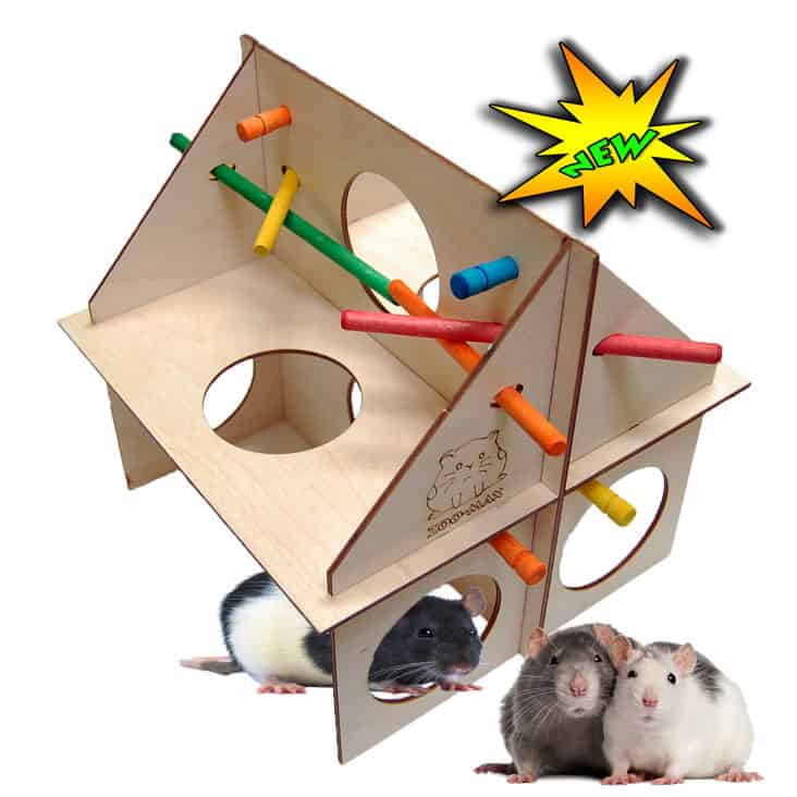 Condo Playgym