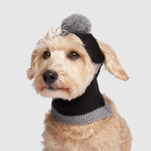 Canada Pooch Bandit Hat