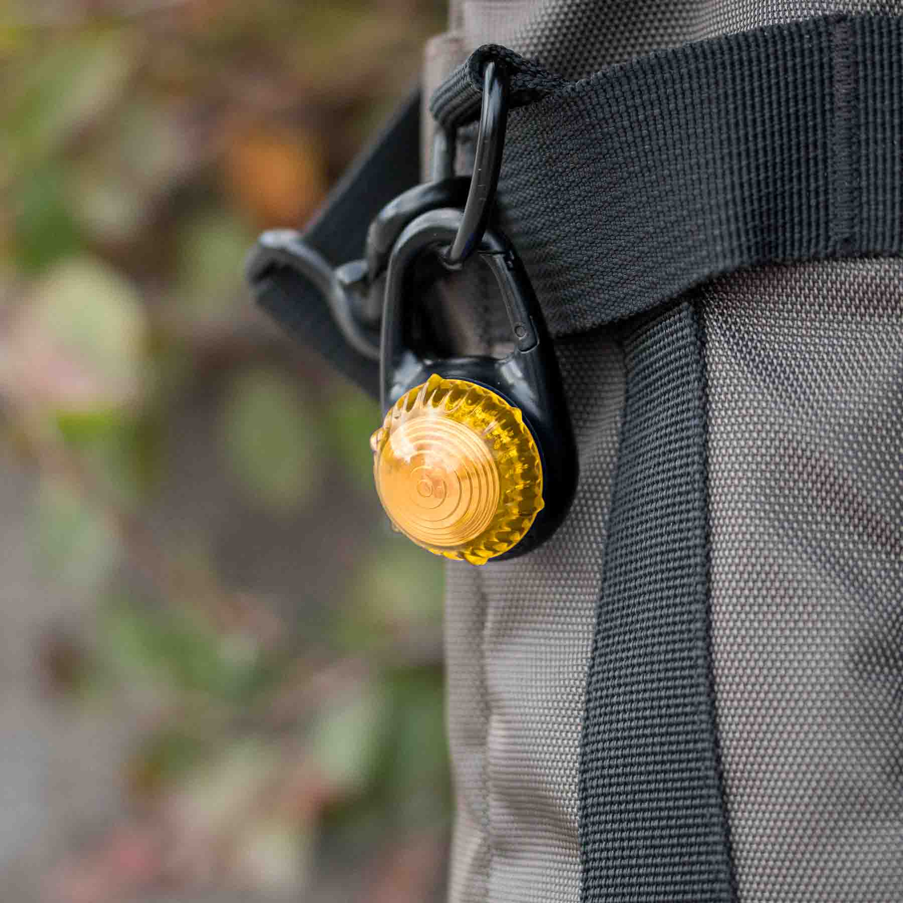 Adventure Lights Caribiner