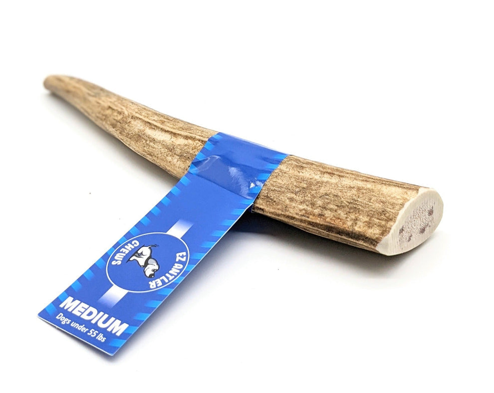 Ezy Elk Antlers