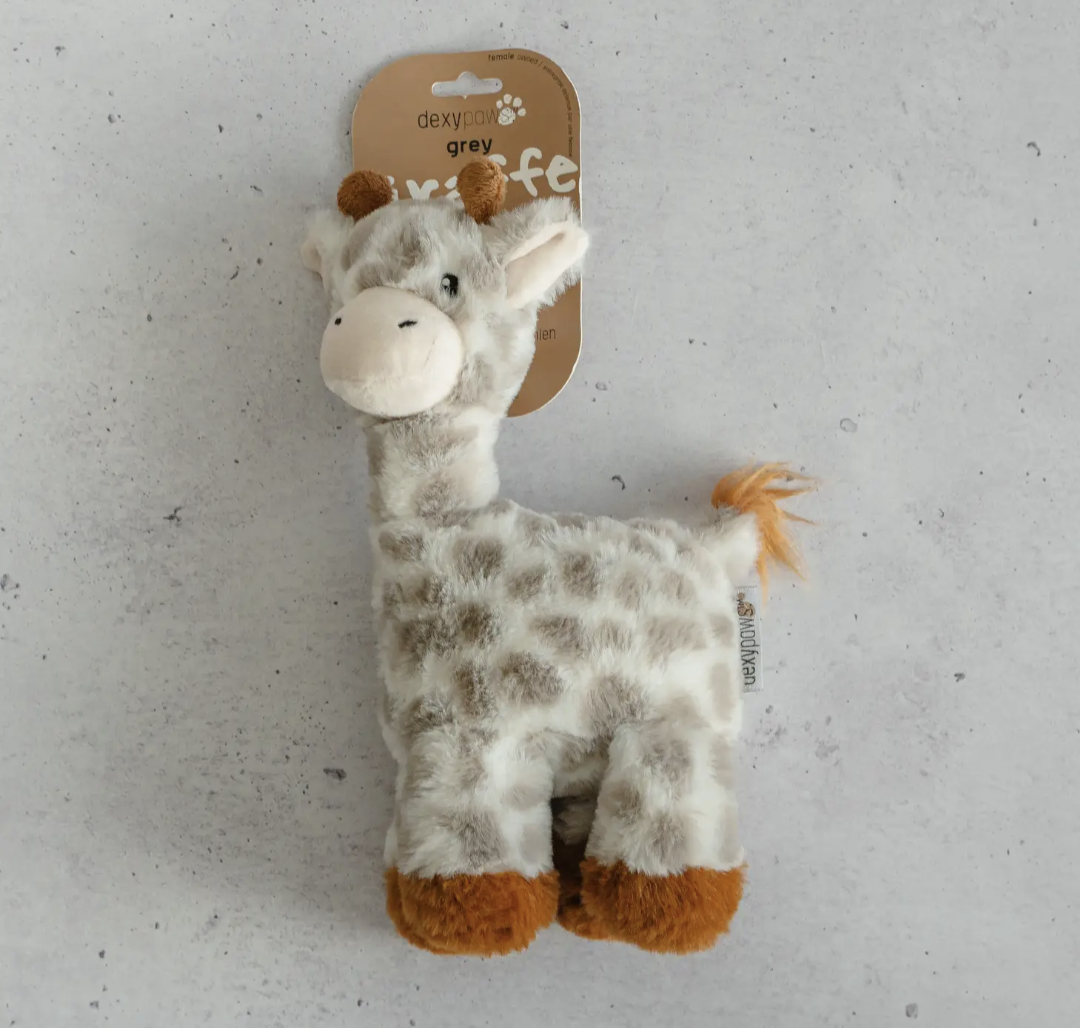 Grey Giraffe