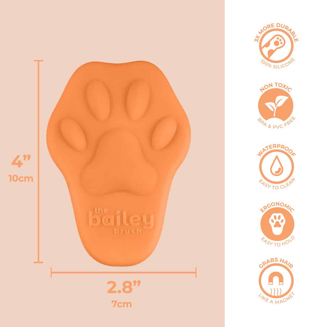 Bailey Brush Silicone Brush for Cats