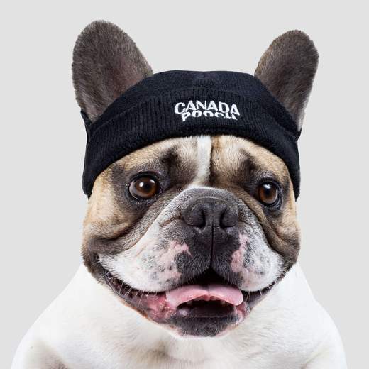 Canada Pooch - Basic Beanie