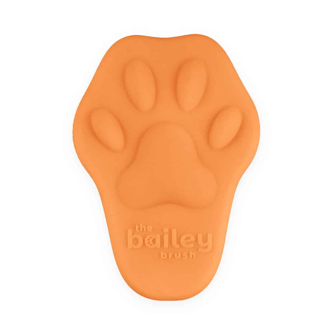 Bailey Brush Silicone Brush for Cats