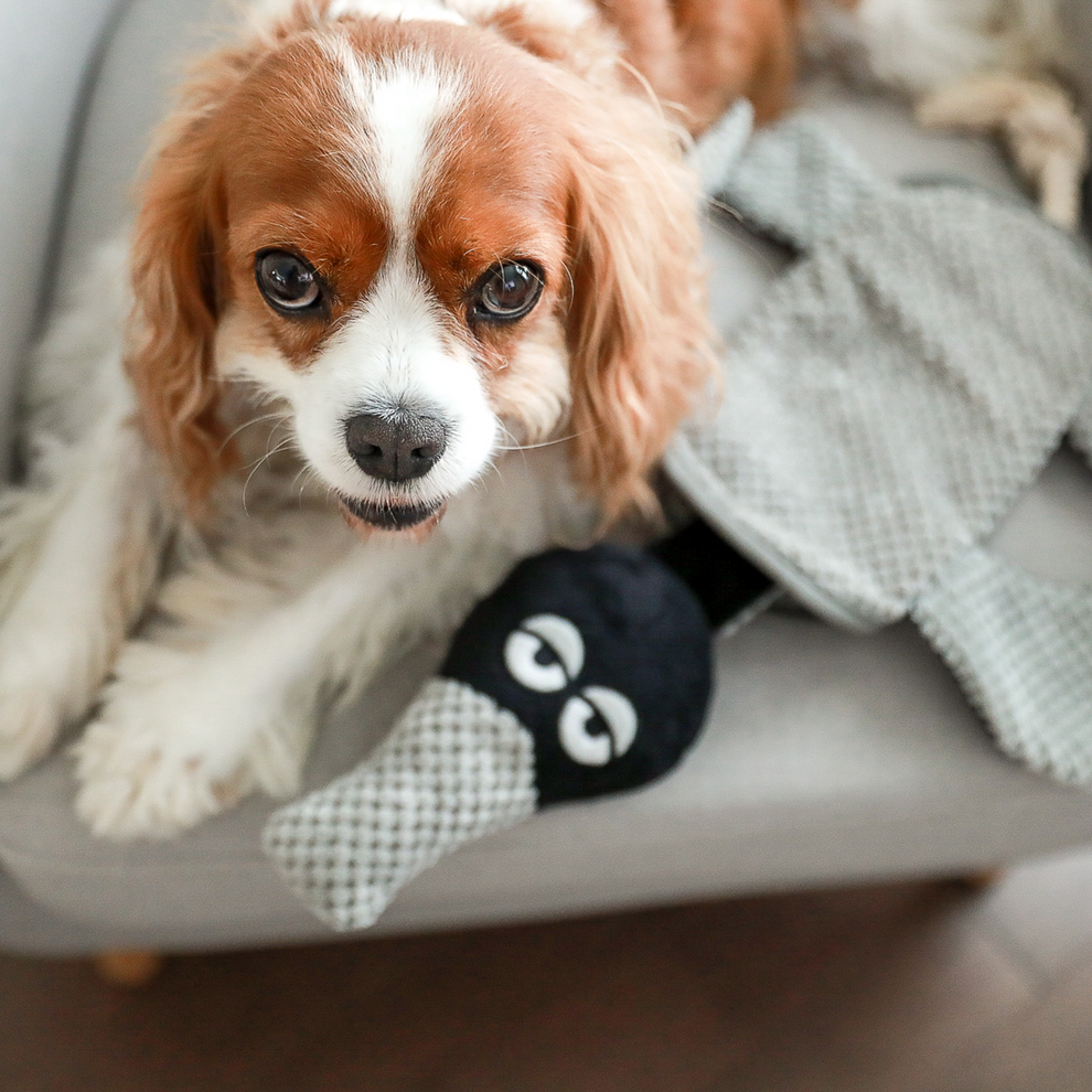 Be One Breed Rebuildable Dog Toy