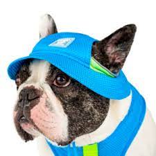 Canada Pooch - Cooling Bucket Hat