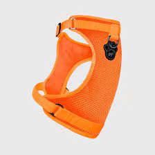 Canada Pooch - The Everything Harness Orange