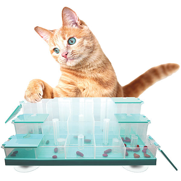 Doc & Phoebe Puzzle Feeder