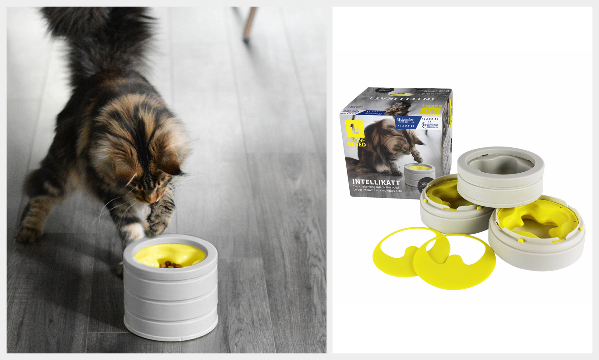 Be One Breed Intellikat Interactive Cat Bowl